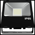 100W LED Waterproof Floodlight